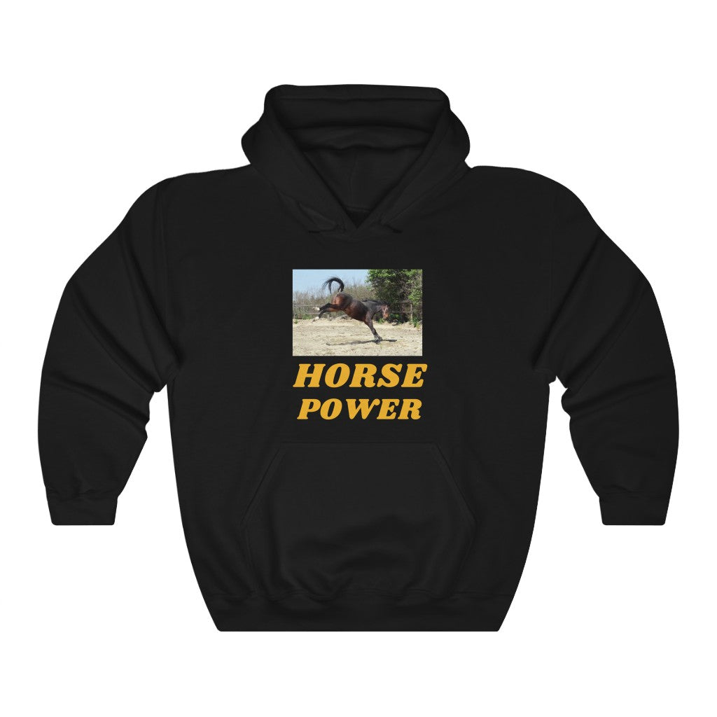 Horse Power Hooded Sweatshirt