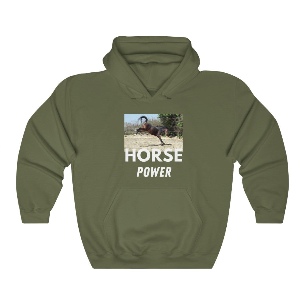 Horse Power Hooded Sweatshirt